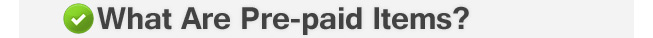 What Are Prepaid Items